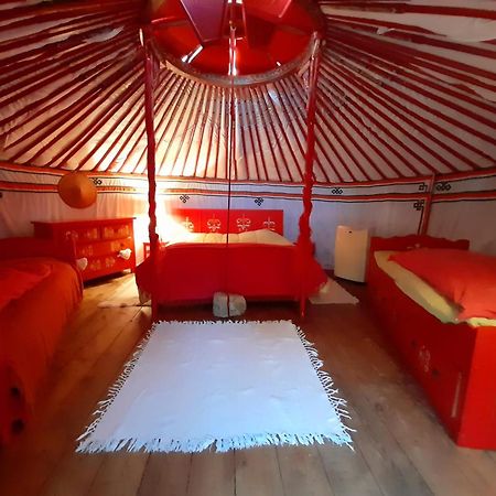 B&B L'Albatros فايانس المظهر الخارجي الصورة