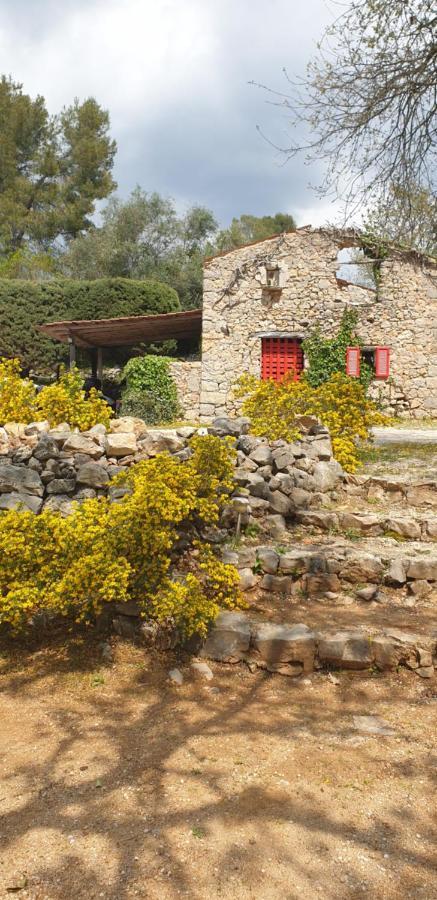 B&B L'Albatros فايانس المظهر الخارجي الصورة